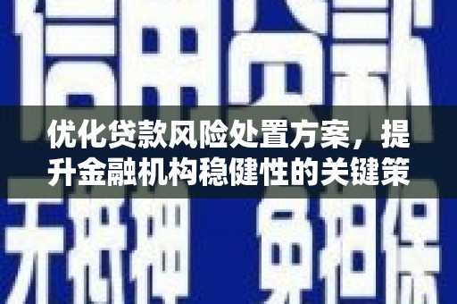 盐山优化贷款风险处置方案，提升金融机构稳健性的关键策略