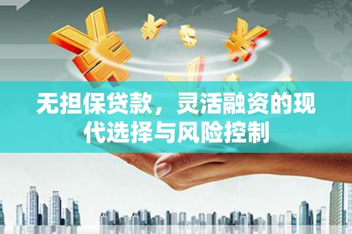 盐山无担保贷款，灵活融资的现代选择与风险控制