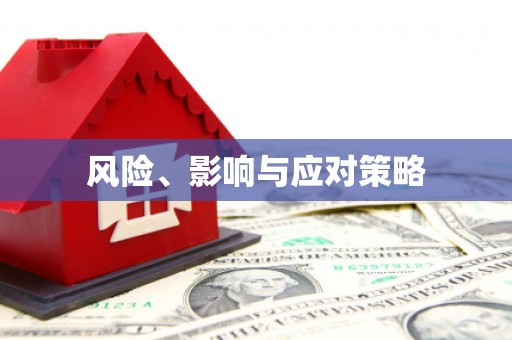 盐山风险、影响与应对策略