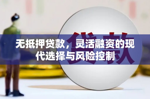 盐山无抵押贷款，灵活融资的现代选择与风险控制