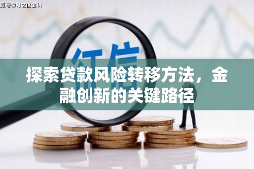 盐山探索贷款风险转移方法，金融创新的关键路径