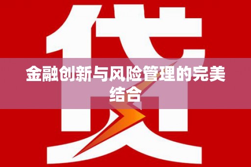 盐山金融创新与风险管理的完美结合