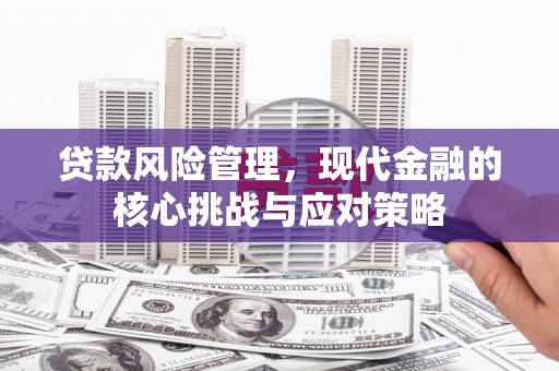 盐山贷款风险管理，现代金融的核心挑战与应对策略