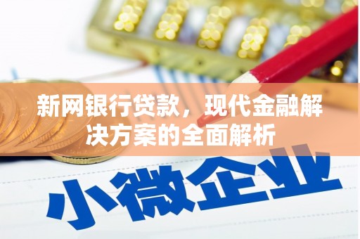 盐山新网银行贷款，现代金融解决方案的全面解析