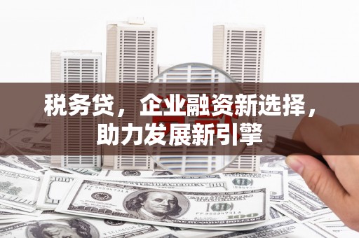 盐山税务贷，企业融资新选择，助力发展新引擎