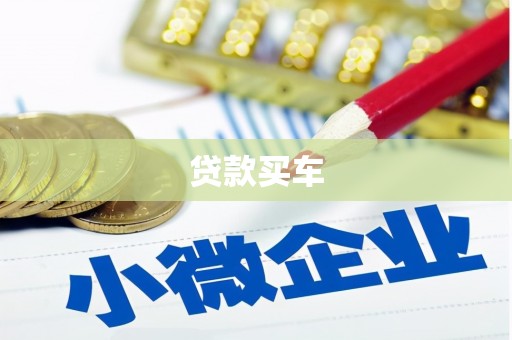 盐山贷款买车