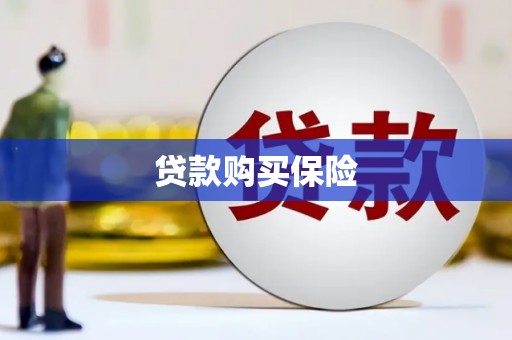 盐山贷款购买保险