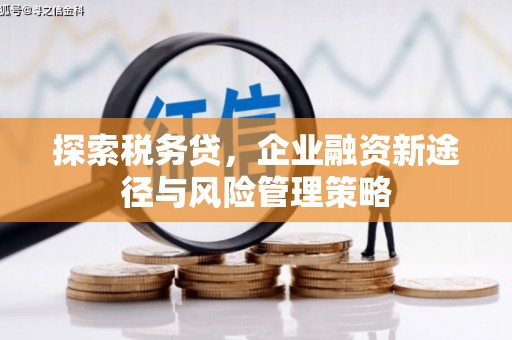 盐山探索税务贷，企业融资新途径与风险管理策略