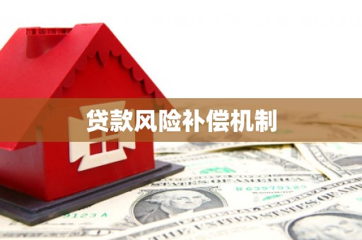 盐山贷款风险补偿机制