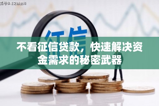 盐山不看征信贷款，快速解决资金需求的秘密武器