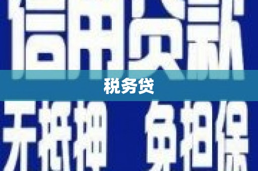 盐山税务贷