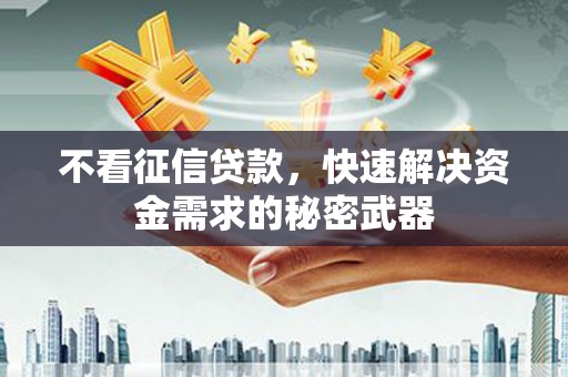 盐山不看征信贷款，快速解决资金需求的秘密武器