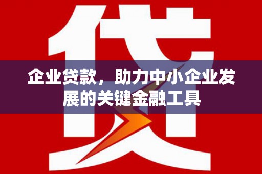 盐山企业贷款，助力中小企业发展的关键金融工具