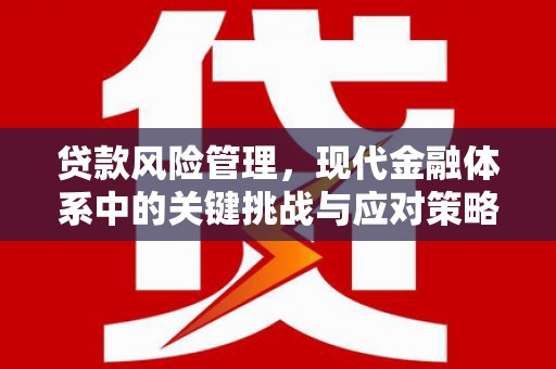 盐山贷款风险管理，现代金融体系中的关键挑战与应对策略