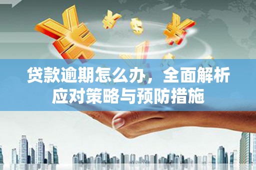 盐山贷款逾期怎么办，全面解析应对策略与预防措施