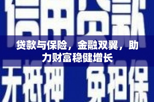 盐山贷款与保险，金融双翼，助力财富稳健增长