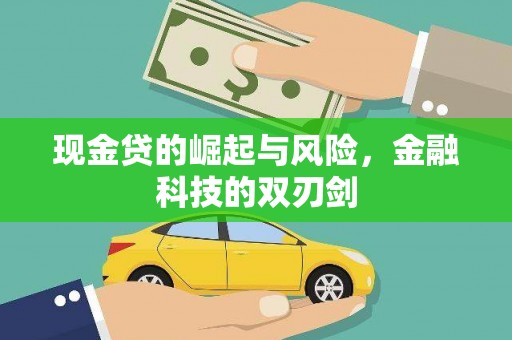 盐山现金贷的崛起与风险，金融科技的双刃剑
