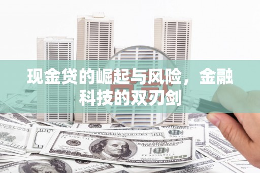 盐山现金贷的崛起与风险，金融科技的双刃剑