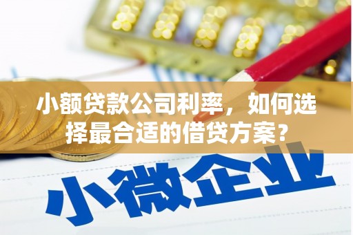 盐山小额贷款公司利率，如何选择最合适的借贷方案？