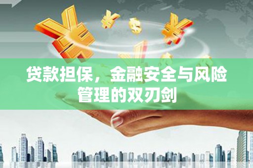 盐山贷款担保，金融安全与风险管理的双刃剑