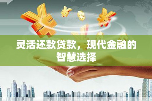 盐山灵活还款贷款，现代金融的智慧选择