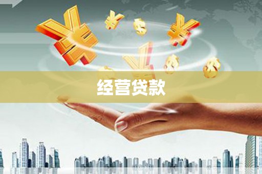 盐山经营贷款