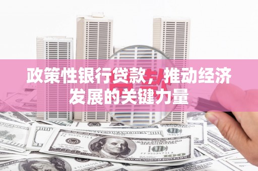 盐山政策性银行贷款，推动经济发展的关键力量