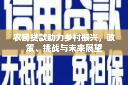 盐山农民贷款助力乡村振兴，政策、挑战与未来展望