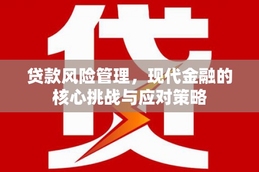 盐山贷款风险管理，现代金融的核心挑战与应对策略