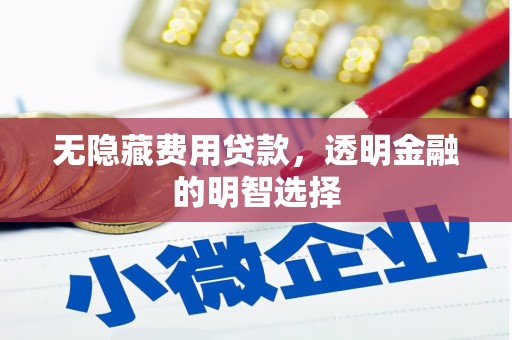 盐山无隐藏费用贷款，透明金融的明智选择