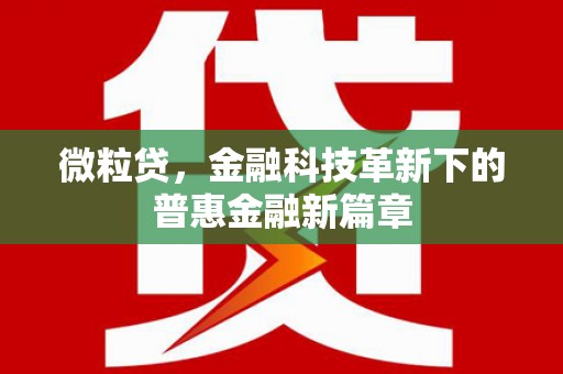 盐山微粒贷，金融科技革新下的普惠金融新篇章