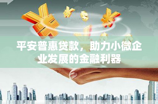 盐山平安普惠贷款，助力小微企业发展的金融利器