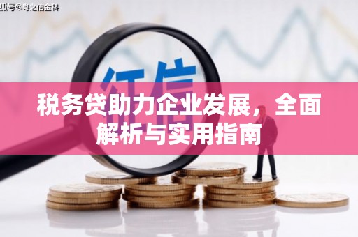 盐山税务贷助力企业发展，全面解析与实用指南