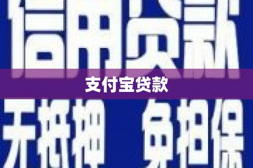 盐山支付宝贷款