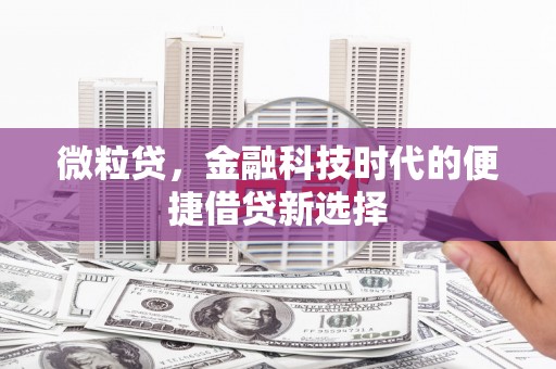 盐山微粒贷，金融科技时代的便捷借贷新选择