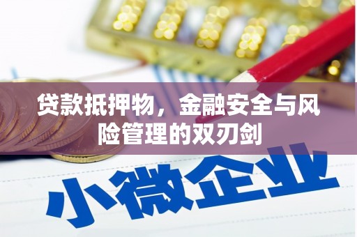 盐山贷款抵押物，金融安全与风险管理的双刃剑