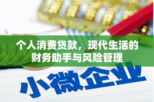 盐山个人消费贷款，现代生活的财务助手与风险管理