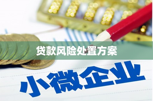 盐山贷款风险处置方案