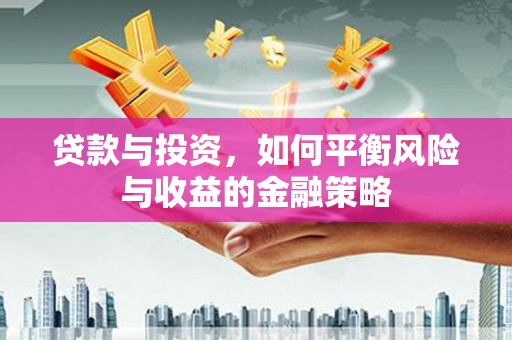 盐山贷款与投资，如何平衡风险与收益的金融策略
