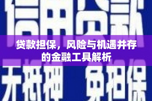 盐山贷款担保，风险与机遇并存的金融工具解析