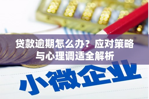 盐山贷款逾期怎么办？应对策略与心理调适全解析
