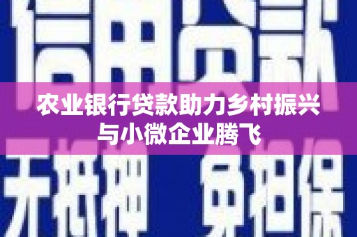 盐山农业银行贷款助力乡村振兴与小微企业腾飞