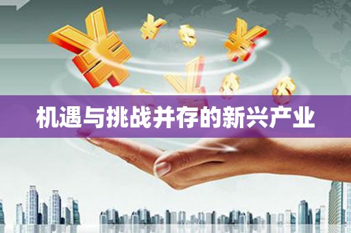 盐山机遇与挑战并存的新兴产业