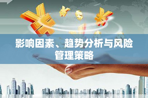 盐山影响因素、趋势分析与风险管理策略