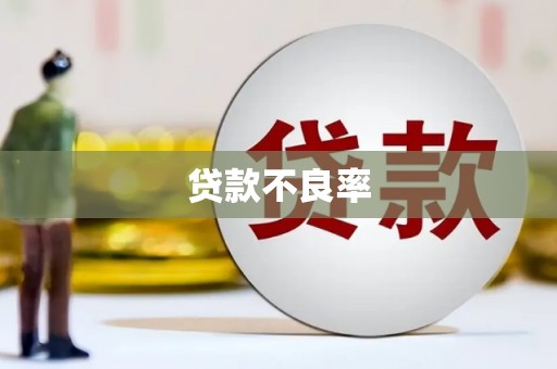 盐山贷款不良率