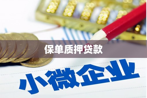 盐山保单质押贷款