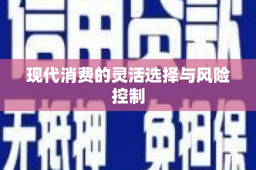 盐山现代消费的灵活选择与风险控制