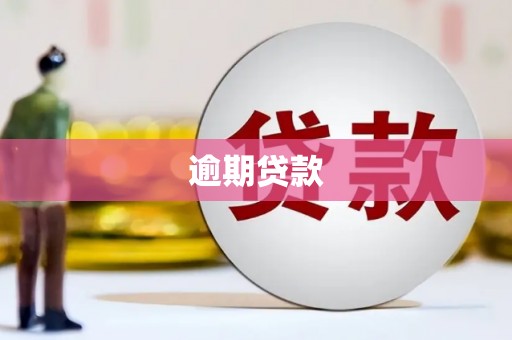 盐山逾期贷款