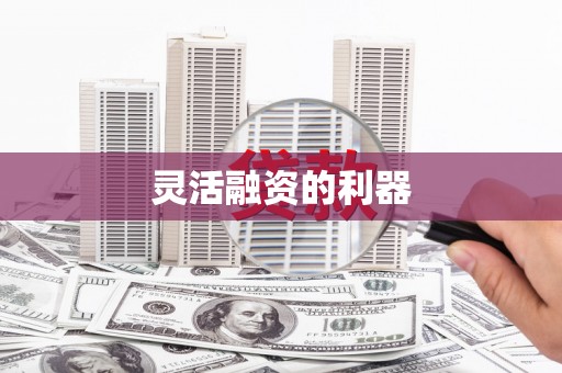 盐山灵活融资的利器