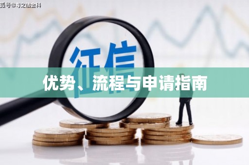 盐山优势、流程与申请指南